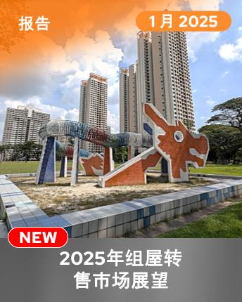 HDB Resale Market Outlook 2025 (Mandarin)